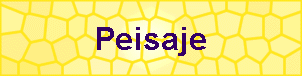 Peisaje